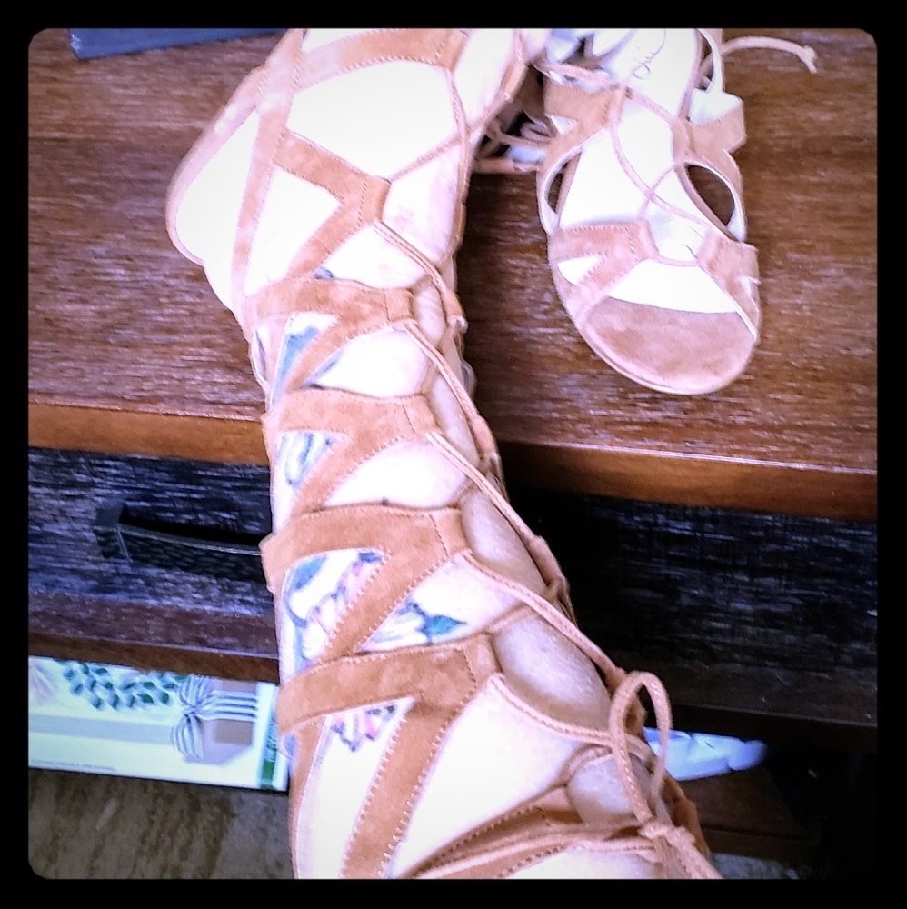 Brand new Liu-Jo gladiator suade  sandals